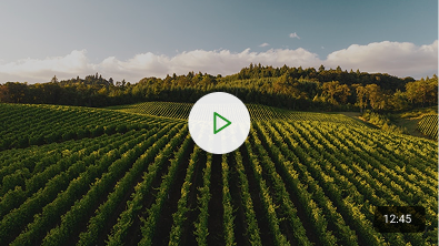 Smart Irrigation Systems in Kenya